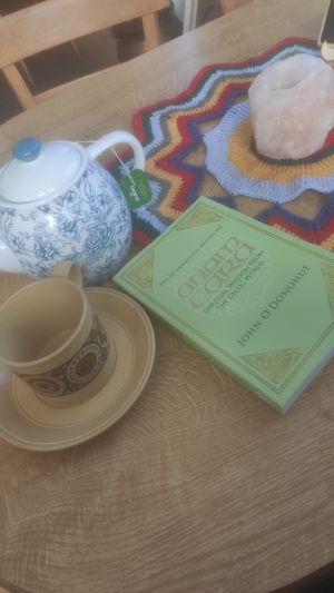 Great Pukka tea selection at Vegan Revelation in Belper