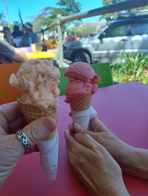 Mandarin and blood orange at Wicked Ice Cream in Port Douglas