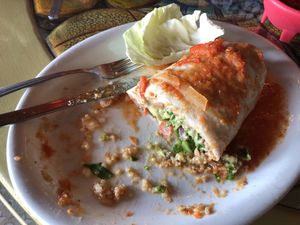 Laguna beach vegan burrito at Olamendi's Mexican Restaurant in Dana Point