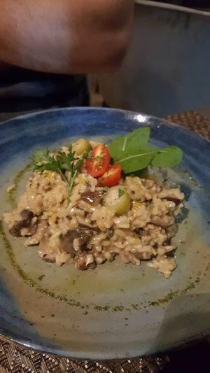 Risoto de cogumelos at Emporio Gourmet in Joao Pessoa