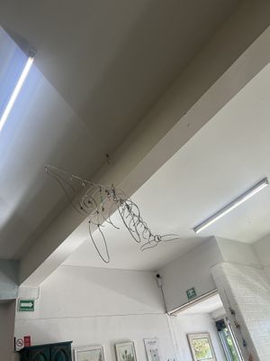  #Veganuary at Nomada Organics & Gourmet in La Paz