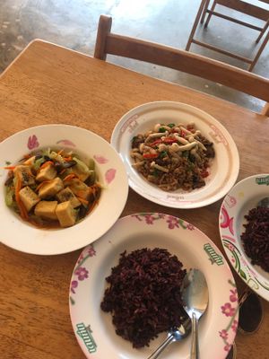 Chinese tofu and celery, Ka Pau and brown rice at DCR Health and Beauty in Nakhon Ratchasima