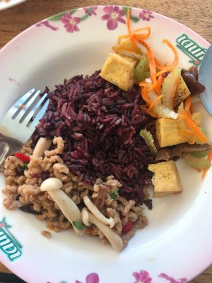 Chinese tofu and celery, Ka Pau and brown rice at DCR Health and Beauty in Nakhon Ratchasima