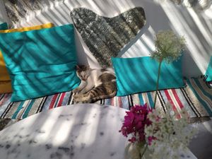  at Kelari in Amorgos