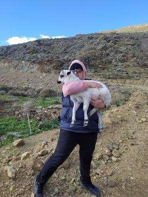  at Kelari in Amorgos