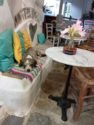  at Kelari in Amorgos