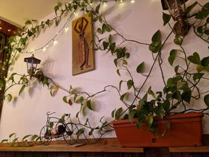  at Keren View in North London