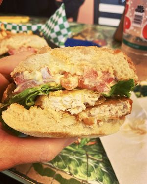   at Seed Ranger in Ventura