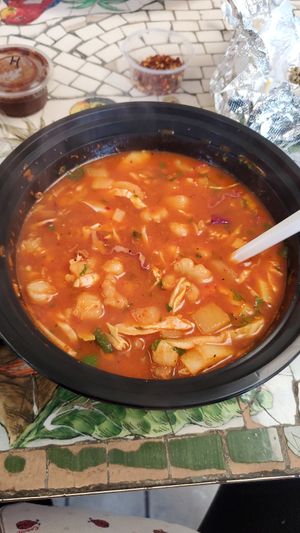  at Seed Ranger in Ventura