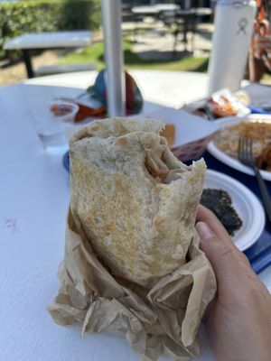   at Seed Ranger in Ventura