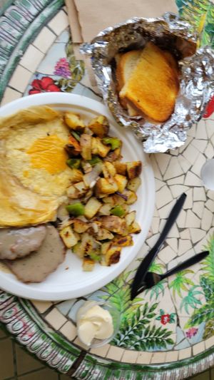  at Seed Ranger in Ventura