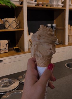 Salty peanut flavour   at Gelateria La Romana in Bergamo