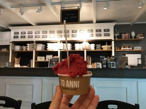 Vegan options  at Gelateria La Romana in Bergamo