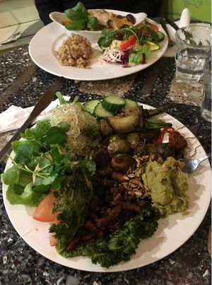 Vegan dish of the day (gf) and VO casserole in the back at Bolhoed in Amsterdam