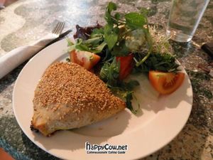 Vegan sandwich pocket w/ salad at Bolhoed in Amsterdam