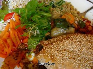  at Bolhoed in Amsterdam