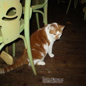 Micky, employee of the month at Bolhoed ;-) at Bolhoed in Amsterdam