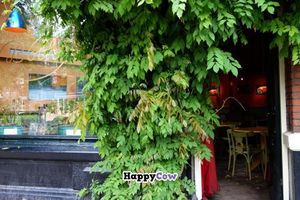 Bolhoed at Bolhoed in Amsterdam