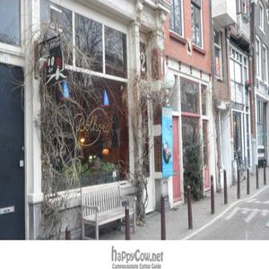  at Bolhoed in Amsterdam