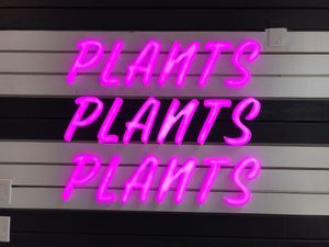 Interior of the restaurant at PLANTA Burger in Toronto