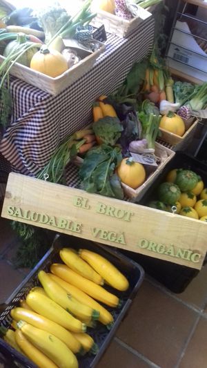 Productes ecològics / Productos ecológicos at El Brot in Alp