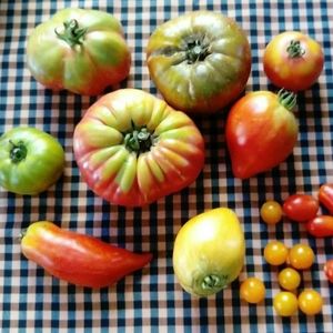 Producte local at El Brot in Alp