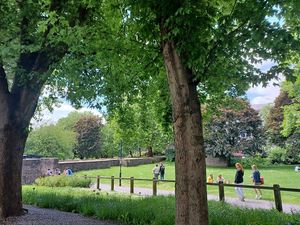 View of the park from our table at Edna's Kitchen in Bristol