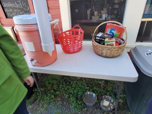 Game ams water table at Golden Harvest Herban Farm and Bakery in Port Orford