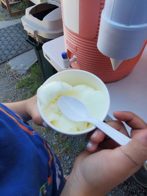 Lemon sorbet at Golden Harvest Herban Farm and Bakery in Port Orford