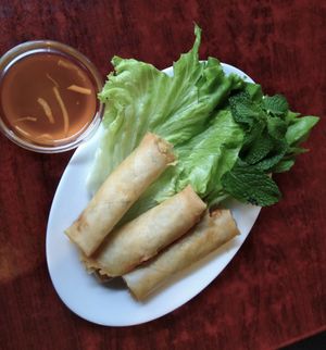 Spring Rolls at Bodhi Vegan in Paris