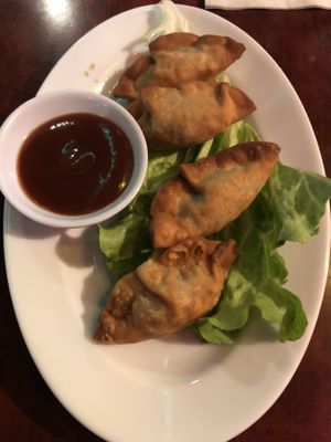Fried won ton  at Bodhi Vegan in Paris