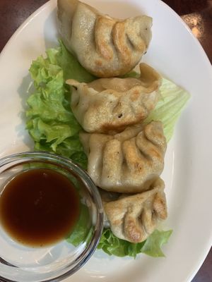 Vegan fried dumplings   at Bodhi Vegan in Paris