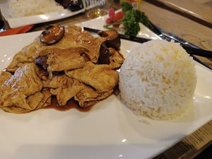 Vegan fried tofu with mushroom sauce at Origami in Esch-sur-alzette
