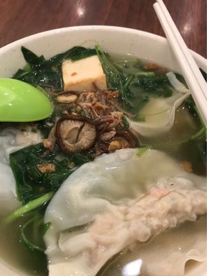 Dumpling soup at Xuan Miao Vegan 炫妙 - Jurong Point in West Singapore