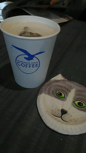 tea at Hubbards Cove Coffee in Hubbards