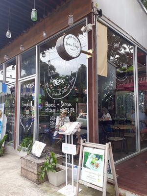 Outside at Rustic & Blue in Chiang Mai