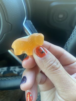 Cute Lil’ Vegan Unicorn Gummies (Recommend) 😋  at Sprouts Farmers Market in Newark