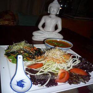 Raw Food Meal at Golden Temple in Amsterdam