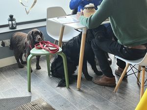   at Square Roots in Whitley Bay