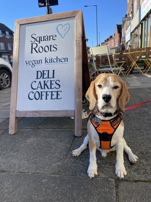   at Square Roots in Whitley Bay