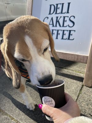   at Square Roots in Whitley Bay