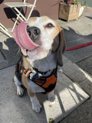   at Square Roots in Whitley Bay