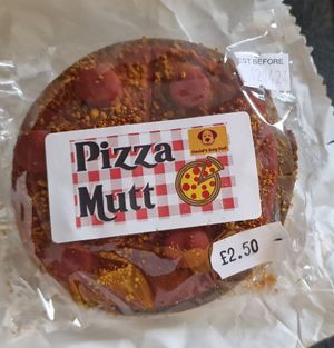 Pizza biscuit for dogs 🍕 #Veganuary at Square Roots in Whitley Bay