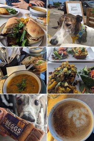  at Square Roots in Whitley Bay