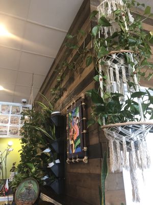 The vines! at Veggie House in Salt Lake City