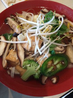 Tofu pho at Veggie House in Salt Lake City