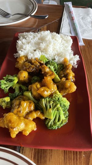 Orange Chickn  at Veggie House in Salt Lake City