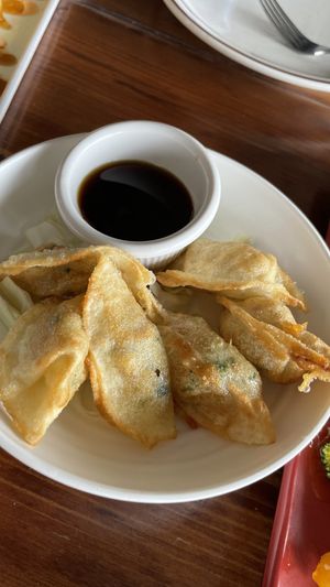 Potstickers   at Veggie House in Salt Lake City