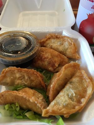 Deep Fried Potstickers Take Away at Veggie House in Salt Lake City