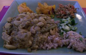 Cashew nut curry at De Vliegende Schotel - The Flying Saucer in Amsterdam